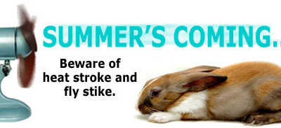 Summer is coming… beware of Heat Stress and Flystrike!