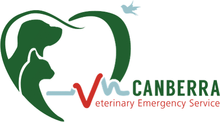 Canberra Veterinary Emergency Services