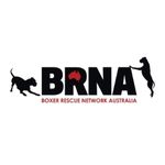 Boxer Rescue Network Australia Logo