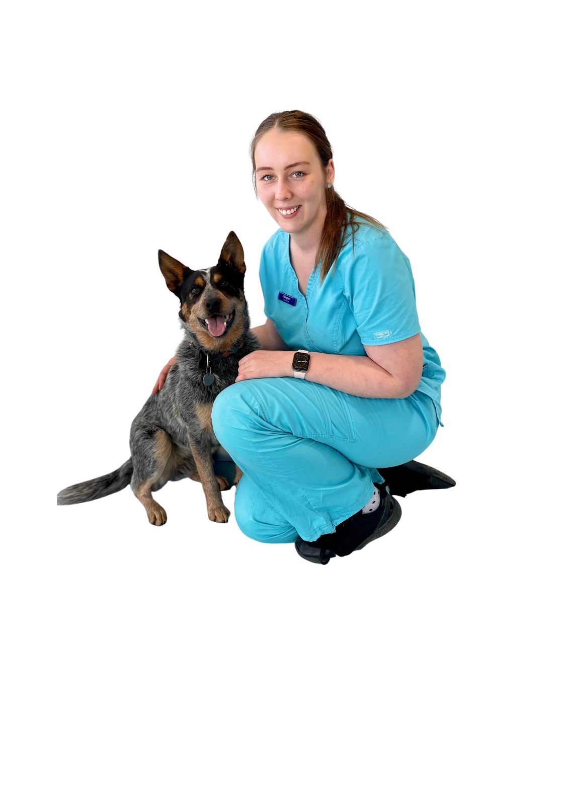 Megan Wright - Non-Clinical Vet Manager